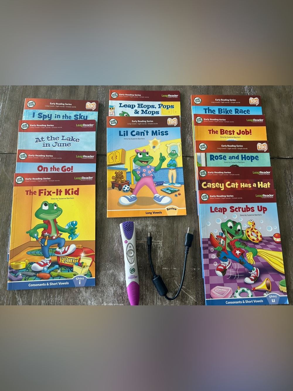 Little Reader Pen and book bundle